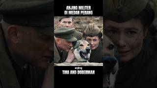 ANJING MILITER INI MENGHANCURKAN TANK JERMAN ‼️ #alurceritafilm #shorts