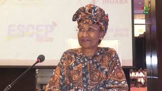 AES/니제르 뉴스: AI 및 지리공간 기술 주간 2차