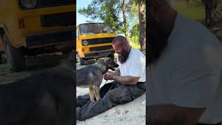 Gerettet❤️‍🩹 #savethedogsbih #rescuedogs #teamwork #pleasehelp #pleasedonate