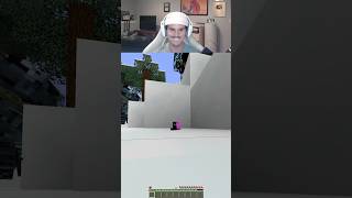 Minecraft memes