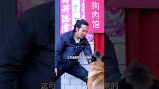 感人瞬间：狗狗用爸爸的私房钱救回同伴🤣
