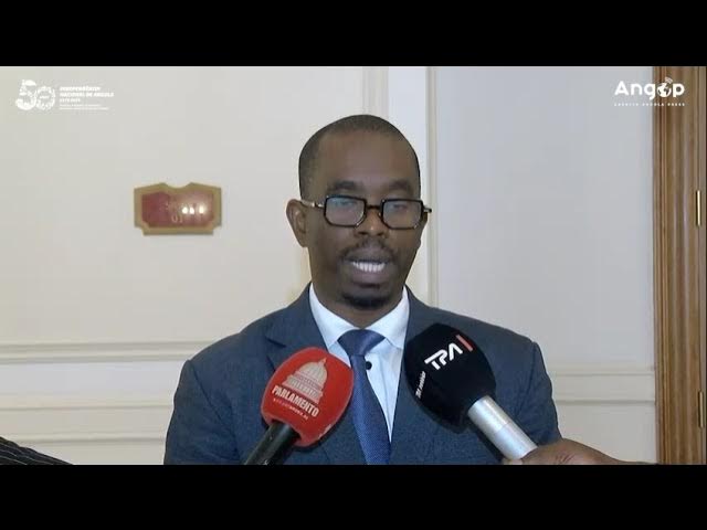 Deputado do MPLA advoga consenso em torno da proposta de alteração da Lei Eleitoral