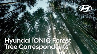 Hyundai IONIQ Forest | Voice of Tree Correspondents