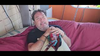 Moment magique avec mon perroquet Jackson