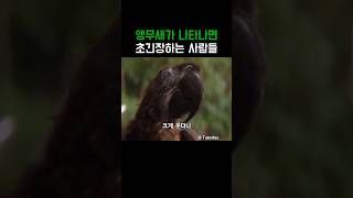앵무새가 나타나면 초긴장하는 사람들