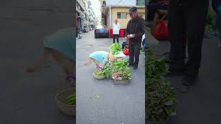 Dogs line up to buy vegetables to make pork rib soup狗狗排隊買菜做排骨湯