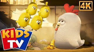 Խենթ Չիկ 2-Ի Արկածը🐤| Զվարճալի Մուլտֆիլմի Դրվագ՝ Larva-Ի Կողմից