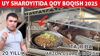 20 YILLIK TAJRIBALI DEHQON AKAMIZDAN – QO‘Y BOQISH ENG TEJAMKOR USULDA