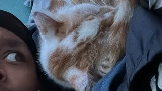 Yup I’m on my phone