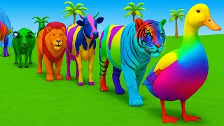 Long Slide Game With Elephant Gorilla Buffalo Hippopotamus Tiger 3d Animal Game Funny 3d Animals