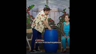 Хобби жены🤣🤣🤣Муж в шоке🤣УРАЛЬСКИЕ ПЕЛЬМЕНИ | лучшее🔥#уральскиепельмени#юмор#shorts#умора#смех