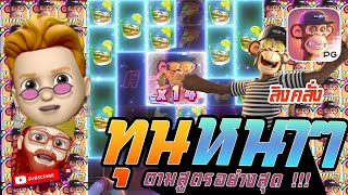 สล็อต PG   Wild Ape #3258 ลิงคลั่ง สวัสดีช่องสำรอง ลิงพาลุย สวยๆ !!!!