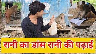 Monkey rani akash ke sath kaise khelti hai ।। Monkey rani Padai kaise karti hai 🤣