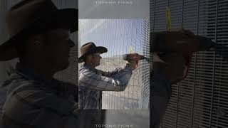 Najdziwniejsze Przedmioty Znalezione w Ludzkim Ciele!