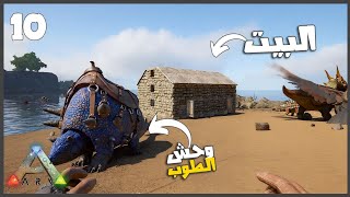 روضت القنفد وجمعت بيه حجاره كتير وبنيت البيت اخيرا ❤️❤️ #10 || ARK Survival 🦖 أرك سرفايفل ||