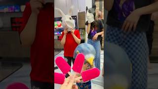 تحولو فجاه لعصافير وقطاط 😂😂 #جوجو #روزا