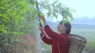 The life of garlic.It is a must-have in nearly every kitchen蒜的一生，实在想不出有创意的名字了！下次你们帮我想!|LiziqiChannel