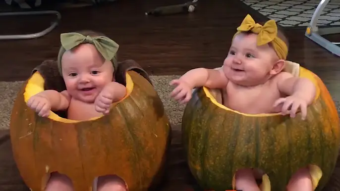 حاول أن لا تضحك مشاهدة الأطفال مضحك تفشل في تجميع نوفمبر 2019 #4