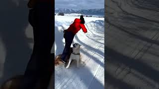 유쾌한 주인의 테이크다운