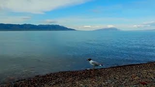 Restoration of Sayram Lake in Xinjiang, China