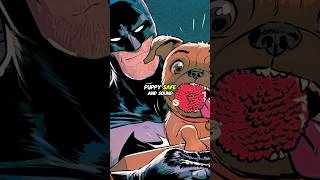 배트맨, 잃어버린 개를 찾다 #만화 #배트맨 #DC코믹스