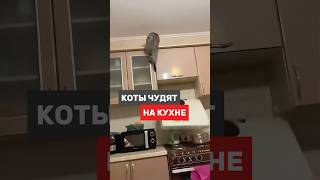 За крутыми кухнями только к нам