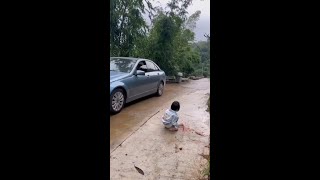 Everything has spirituality, dogs become spirits 339224