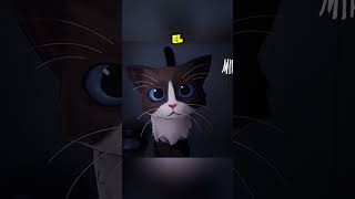 "Este gato era rechazado… por tener tres patas" #youtubeshorts