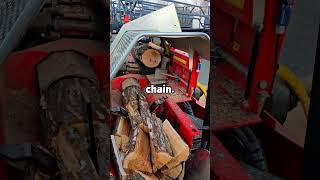 군 관료주의에 대해 가장 좌절스러웠던 점은 무엇입니까?