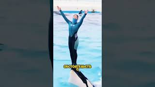 Произошла трагедия #интересно