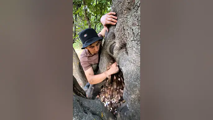 I Found a Treasure Chest Hidden 100 Years Ago!
