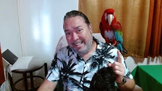 Un p'tit café avec toi et Jackson mon perroquet.