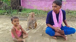 Monkey rani gao ke logo ke sath kaise rahti hai 😂।। 