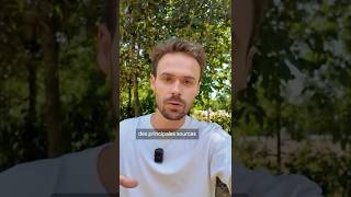 Les perles de la Mer Morte