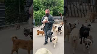 Welcome to the pack 🥺🫶🏽 #hund #dogs #rescue #dogrescueshelter #emotional #tiere #rescueefforts