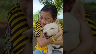 Poor Girl Love🥺❤️ With Good Puppy‼️💕 | JJaiPan #Shorts