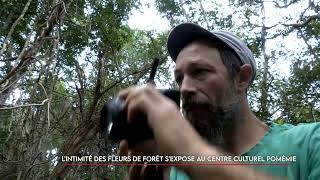 L’intimité des fleurs de forêt s’expose au centre culturel Pomémie