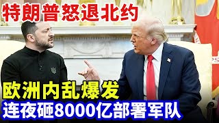 美乌彻底谈崩，特朗普怒退北约！欧洲危机爆发，连夜砸8000亿部署军队，专家：毫无意义【军事零距离】