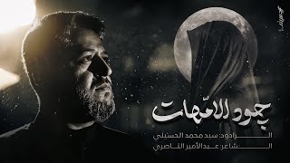 جود الامهات | سيد محمد الحسيني 1446 هـ