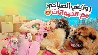 روتين الصباحي مع الحيوانات كل يوم 😍