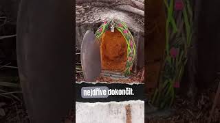 Žena Vytvoří Útulný Kouzelný Domeček ve Stromě za 1 Týden!