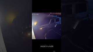 Cats doing cat things 🐈😍😂 #cats #kittens #funnycats #michitolover