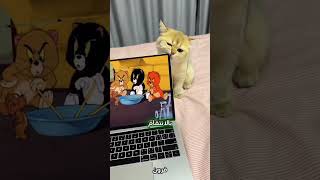 القطة المنبوذة التي تحولت إلى تميمة حظ لا تُصدق! 🐱🍀 #قطط #القطط