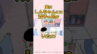 【感動】実はしんちゃんには双子の兄がいた『ぼく野原シロのすけです』#クレヨンしんちゃん #感動する話 #感動回 #感動シーン #野原しんのすけ #野原みさえ #野原ひろし