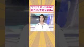 【2ch面白いスレ】コラだと思った画像を貼り付けたヤツが優勝www #2ch面白いスレ #2ch