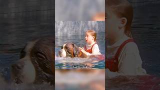 قصة الطبيب الذي دبر إعدام الكلب #شفا #قصص #قصص_واقعية #حكمة #قصص_اطفال