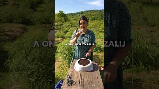 발코니에서의 간단한 채소 재배