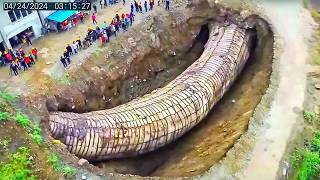 이게 어떻게 가능한 거지? 카메라에 잡히지 않았더라면 아무도 믿지 않았을 거야