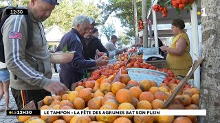 Au Tampon, tangors, mandarines, pomelos et autres agrumes sont en fête ce week-end.