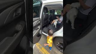 Korea qabristonining OBZORI ✅